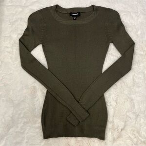 Express Fitted Sweater